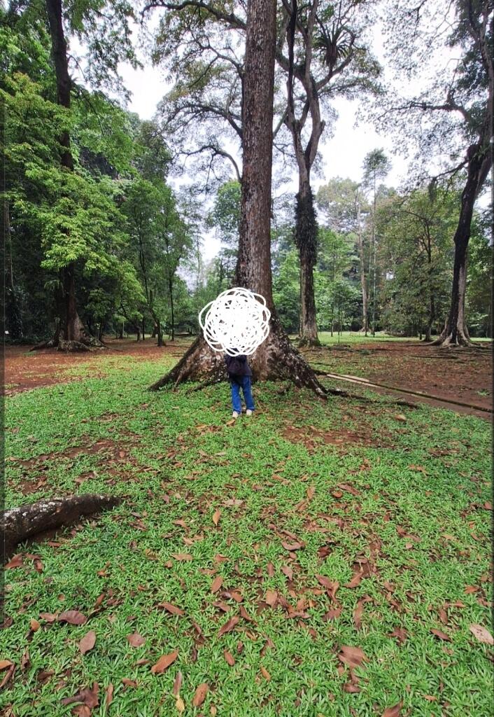 Petualangan Spontan ke Kebun Raya Bogor