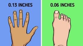 Ini Dia, 10 Fakta Dunia yang Jarang Diketahui