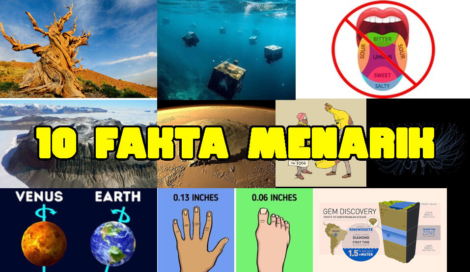 Ini Dia, 10 Fakta Dunia yang Jarang Diketahui