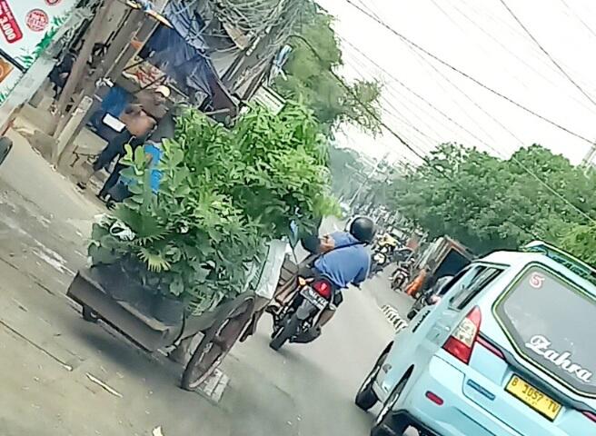 Penjual Tanaman Keliling Kian Langka, Kapan Kamu Terakhir Beli? Support Mereka, Yuk!