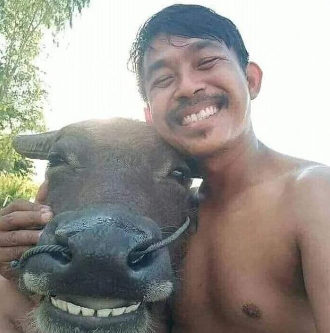 Saviorself In Your Mind 