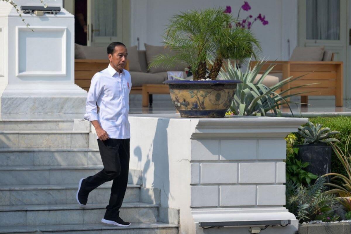 Jokowi Bawa 43 Kambing Peliharaan ke Solo, Pening Kepalanya