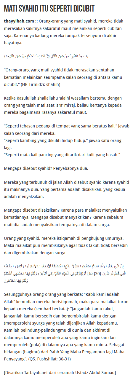 Yahya Sinwar Syahid, MUI: Tak akan Surutkan Perlawan terhadap Israel