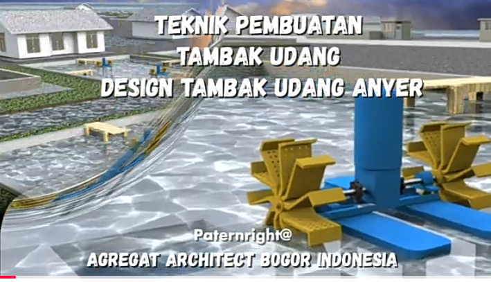 TAMBAK UDANG