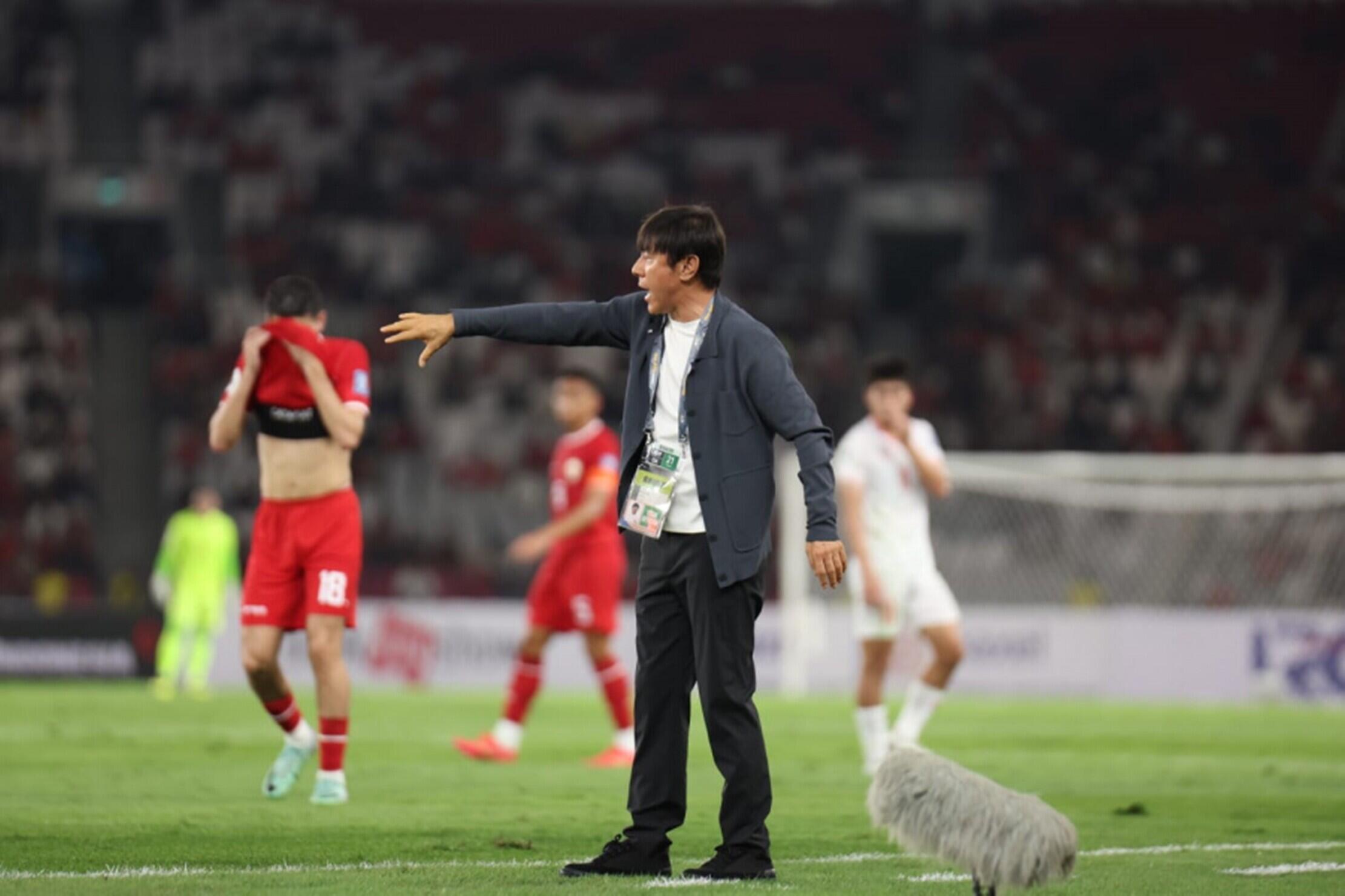 6 Pelatih yang Bisa Gantikan Shin Tae-yong di Timnas Indonesia Jika Dipecat