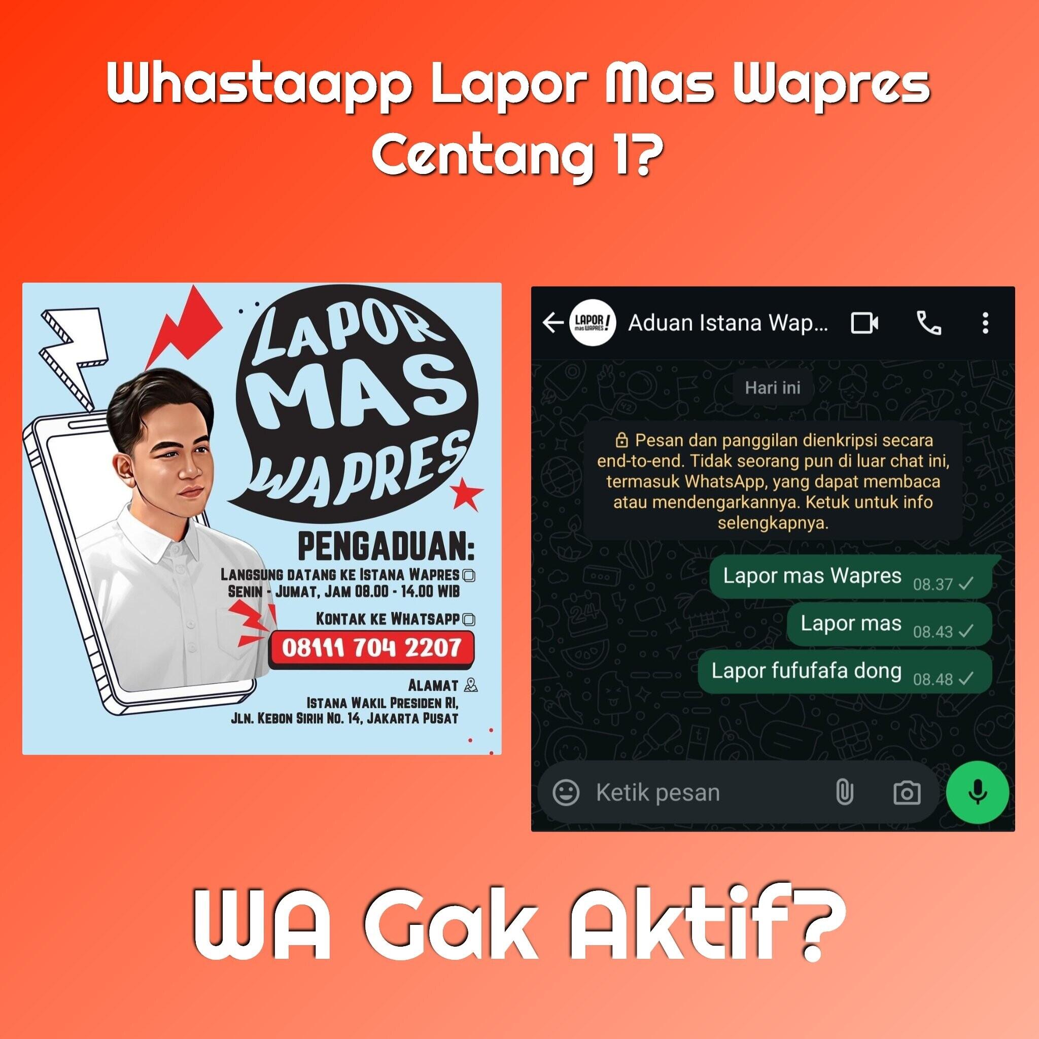 Lapor Wapres, Ternyata Cuma Gimmick