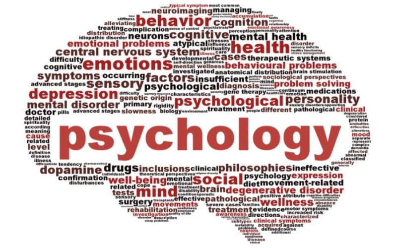 (Casual Education) The Psychology Basic Prinsiples Science : Si Sulung PLUS Si Bungsu