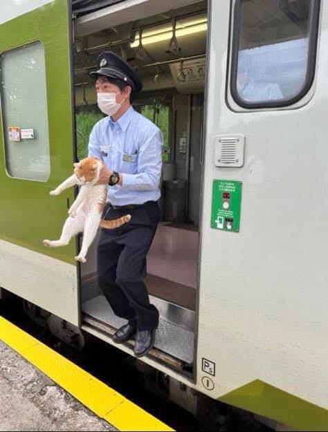 20 Hal Unik yang Mungkin Hanya Bisa Ditemui di Jepang