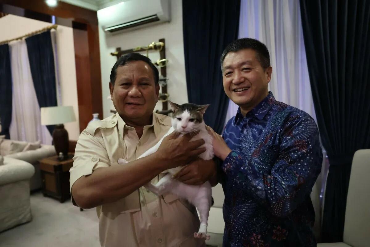 Wow! Kucing Bobby Kertanegara dapat Penghargaan dari Google, Sosok paling Dicari