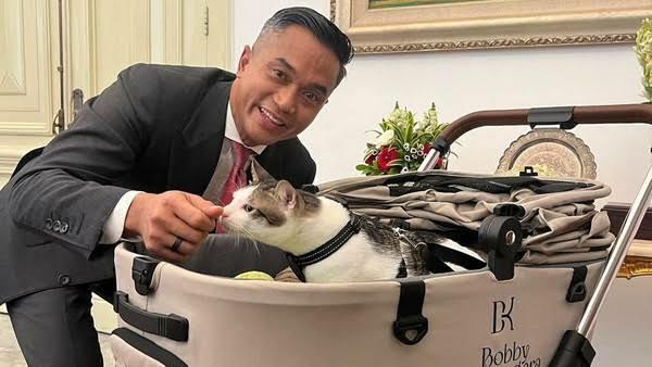 Wow! Kucing Bobby Kertanegara dapat Penghargaan dari Google, Sosok paling Dicari
