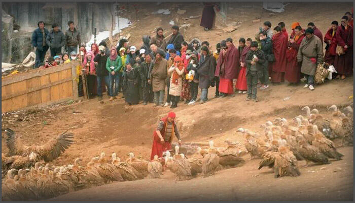 Tradisi Pemakaman Langit di Tibet : Jasad Manusia Diberi Makan Burung Pemakan Bangkai