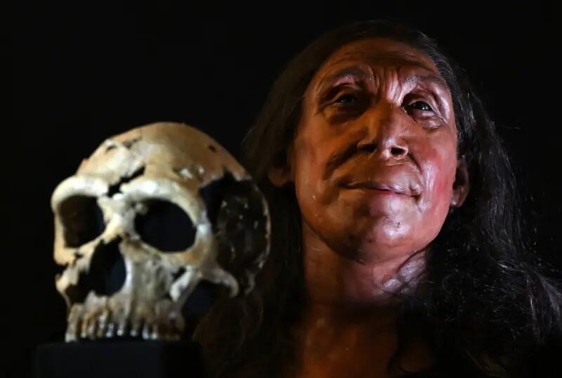 Manusia mungkin punah bila tidak kawin silang dengan Neanderthal