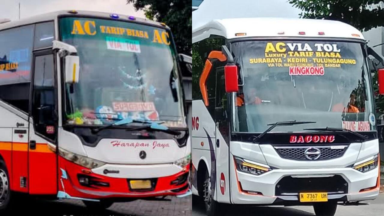 Harapan Jaya vs Bagong | Ambisi Menjadi Raja Bus Ekonomi di Jalur Selatan Jawa Timur