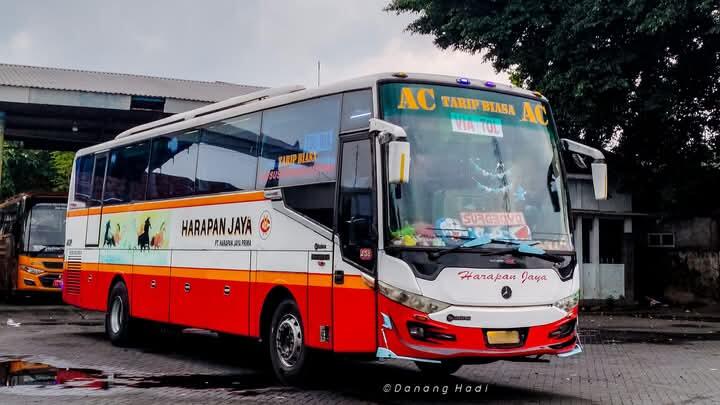 Harapan Jaya vs Bagong | Ambisi Menjadi Raja Bus Ekonomi di Jalur Selatan Jawa Timur