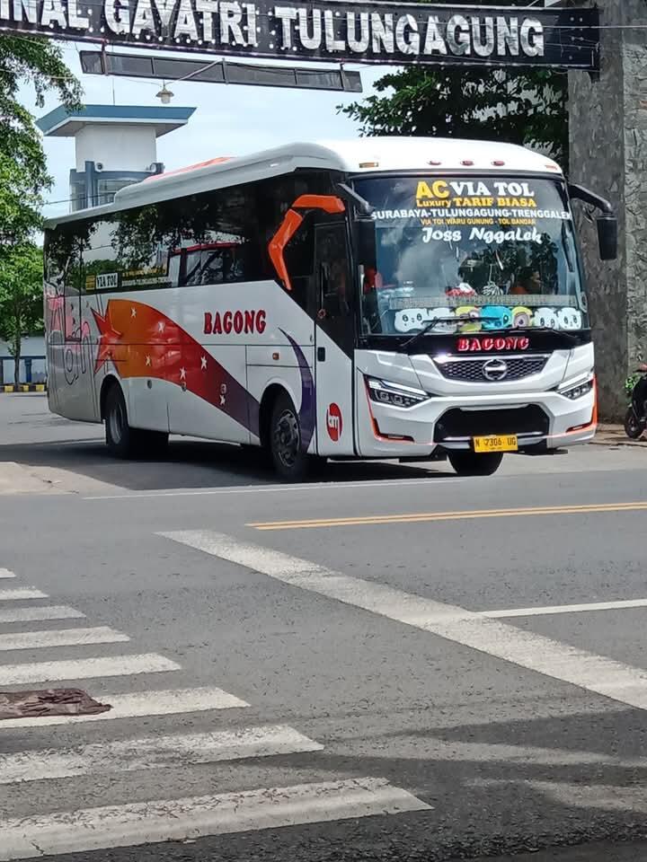 Harapan Jaya vs Bagong | Ambisi Menjadi Raja Bus Ekonomi di Jalur Selatan Jawa Timur