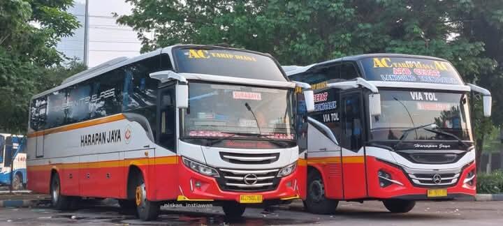 Harapan Jaya vs Bagong | Ambisi Menjadi Raja Bus Ekonomi di Jalur Selatan Jawa Timur