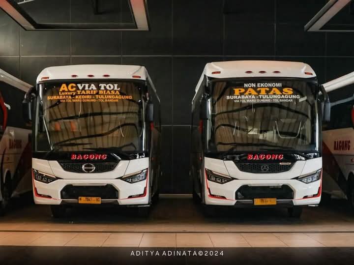 Harapan Jaya vs Bagong | Ambisi Menjadi Raja Bus Ekonomi di Jalur Selatan Jawa Timur