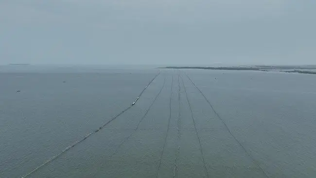 Aguan Makin Semena-mena Diduga Pagari Laut Tangerang hingga 30 Km, Setop PSN PIK 2!