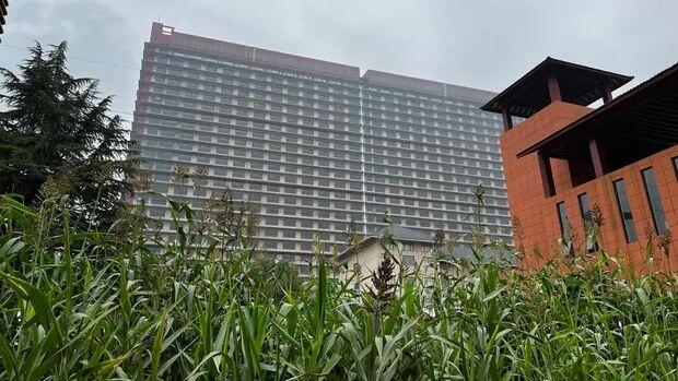 China Punya 'Hotel ' Khusus untuk Babi, Ada 26 Lantai

