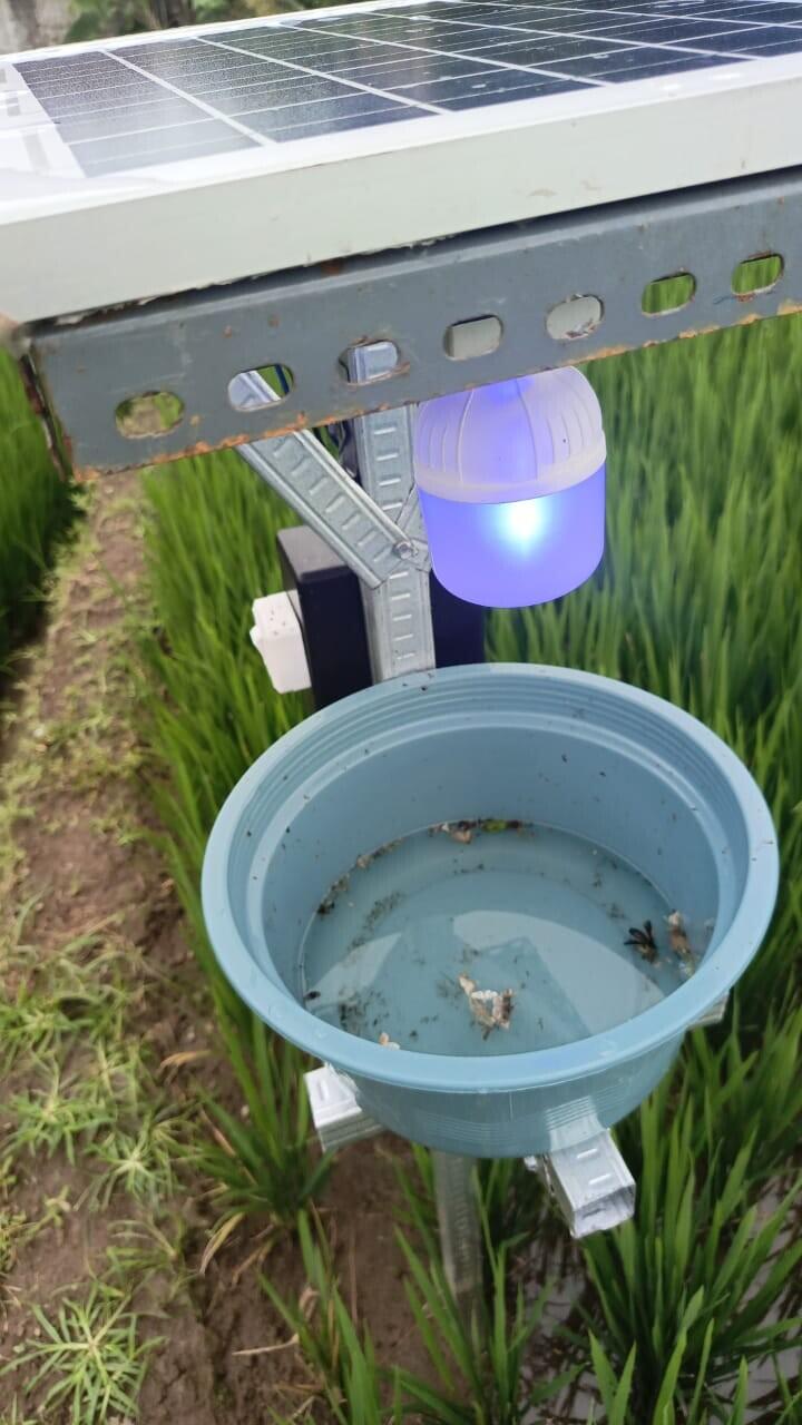 Sukses Ciptakan Inovasi Smart Light Trap Insect Solar Panel Di Desa Mojokembang.