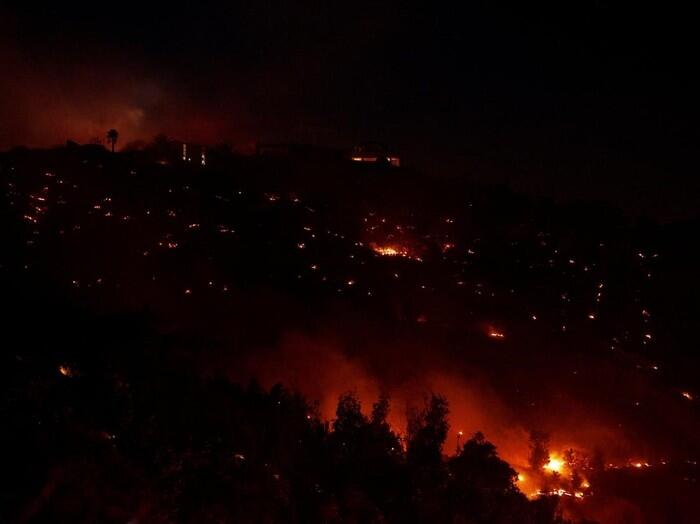 Hutan di San Diego California Ikut Membara
