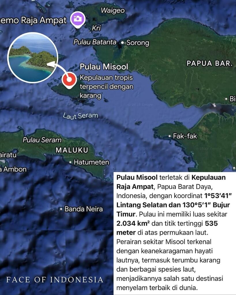 Anak-Anak Papua Bermain Di Punggung Paus: &quot;Keajaiban Alam Di Raja Ampat&quot;