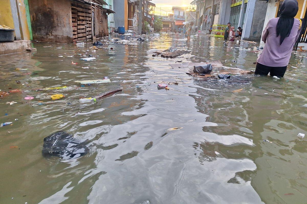 Jakarta Utara Terancam Banjir Rob Pekan Depan, Air Laut Naik Tanpa Hujan