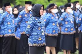 Begini Skema Pensiun ASN Biar Tidak Jadi Beban APBN