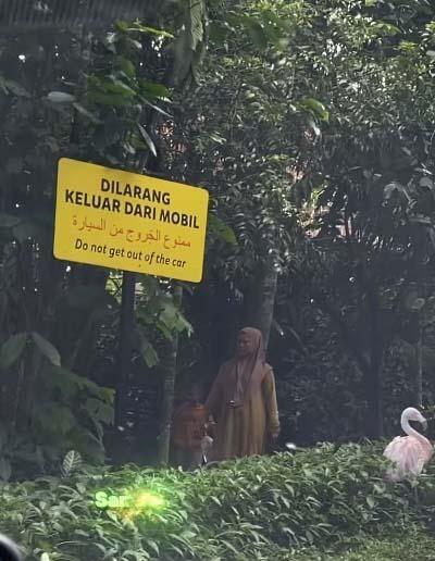 Netizen Desak Taman Safari Blacklist Pengunjung yang Keluar dari Mobil