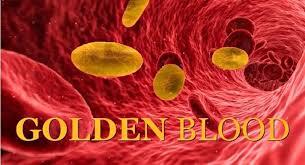 Golongan Darah Emas (Golden Blood): Fakta Menarik yang Jarang Diketahui