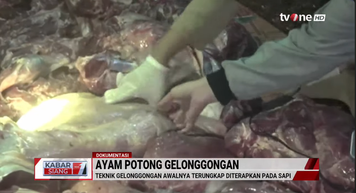 Polisi Bongkar Praktik Ayam Gelonggongan di Pasar Kebayoran Lama