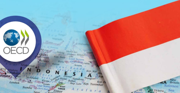 Indonesia di Ambang Pintu OECD! Kesempatan Besar Kebut Pertumbuhan Ekonomi
