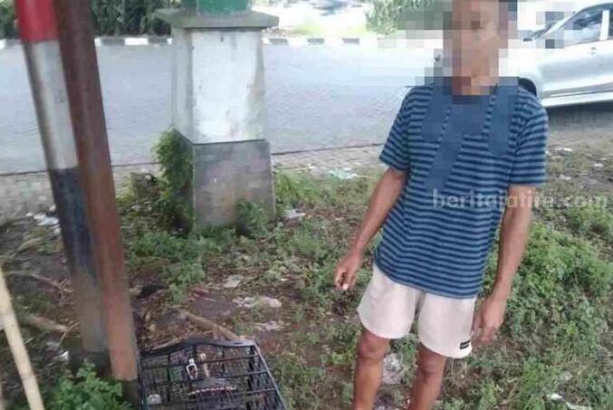 Lebaran di Penjara: Pria di Surabaya Tertangkap Mencuri Burung Cucak Ijo di Gresik