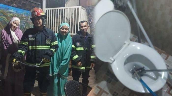 Mahasiswi di Padang Syok Ada Ular Kobra Nongol di Lubang Kloset, Untung Ada Damkar!
