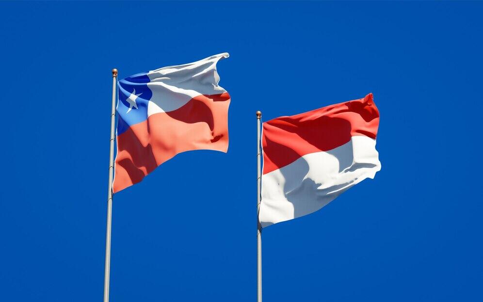 Indonesia Makin Gaul di Kancah Ekonomi, Chile Jadi Bestie Baru!