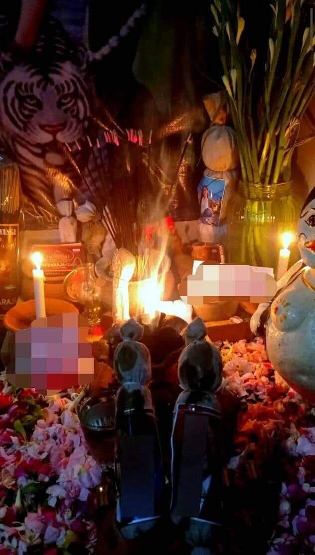 ♻️PELET JABANG BAYI♻️