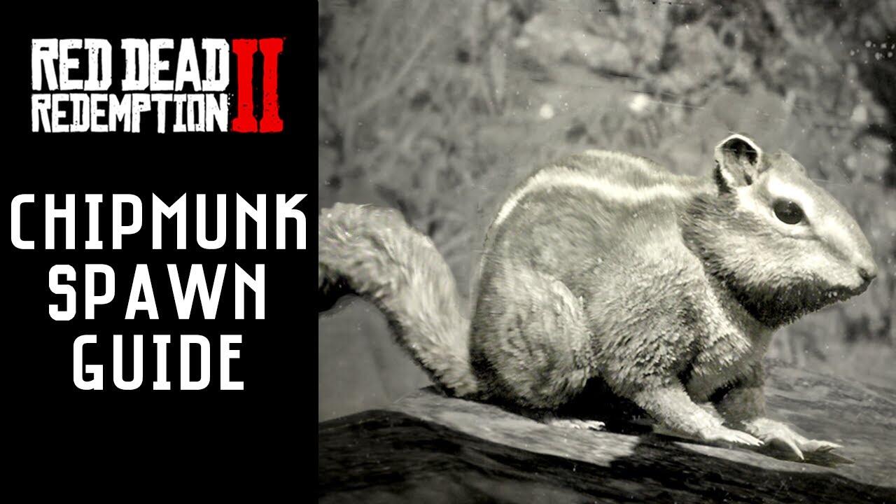 Red Dead Redemption 2: Tips Mencari Chipmunk, Opossum, Oriole, dan Robin
