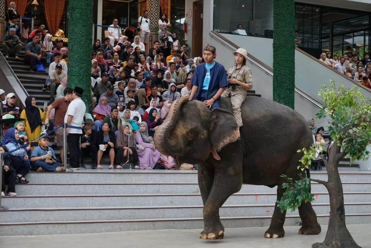 Dugaan Perbudakan Pemain Sirkus Taman Safari: Bisakah Budak Melawan dan Menang?