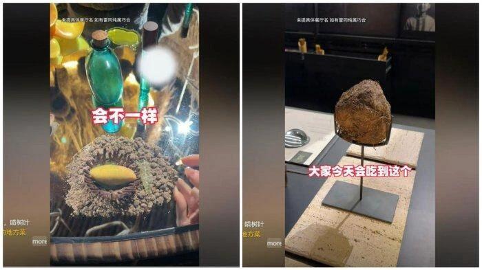 Kotoran Gajah Dijual Restoran di China, Dianggap Hidangan Mewah, Harganya Rp9 Juta