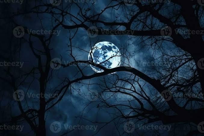 Dark Moon: Ketika Bulan Ngilang Demi Me Time