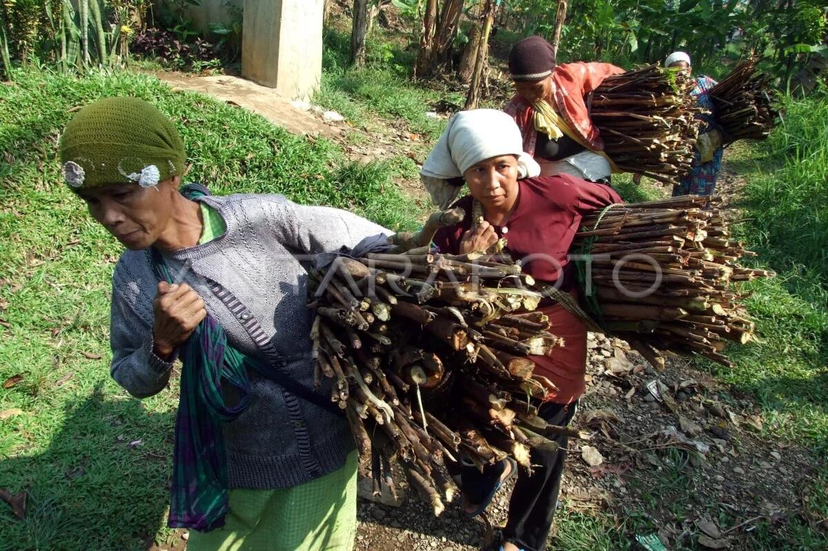 Pahlawan Tanpa Medali: Kisah Perjuangan dari Berbagai Penjuru Dunia