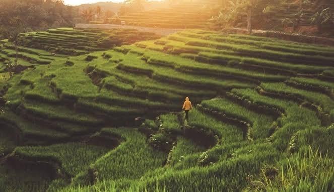 Pahlawan Tanpa Medali: Kisah Perjuangan dari Berbagai Penjuru Dunia