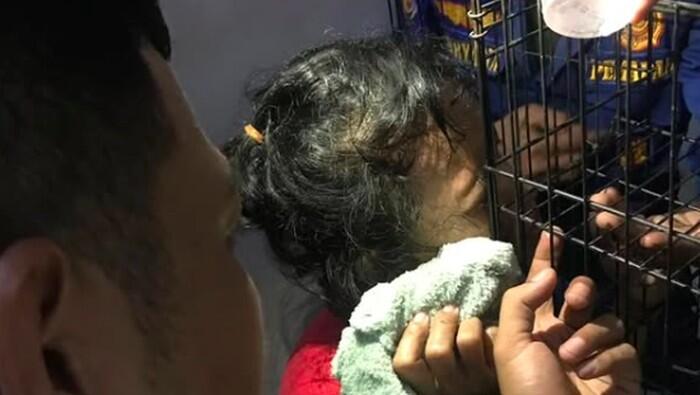 😱 NGERI GAN! Cewek di Tangsel Kelopak Matanya Ketusuk Besi Kandang Kucing! 😿🔥