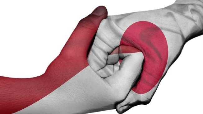 Ketika Indonesia & Jepang Gak Cuma Tukeran Budaya, Tapi Soal Energi!