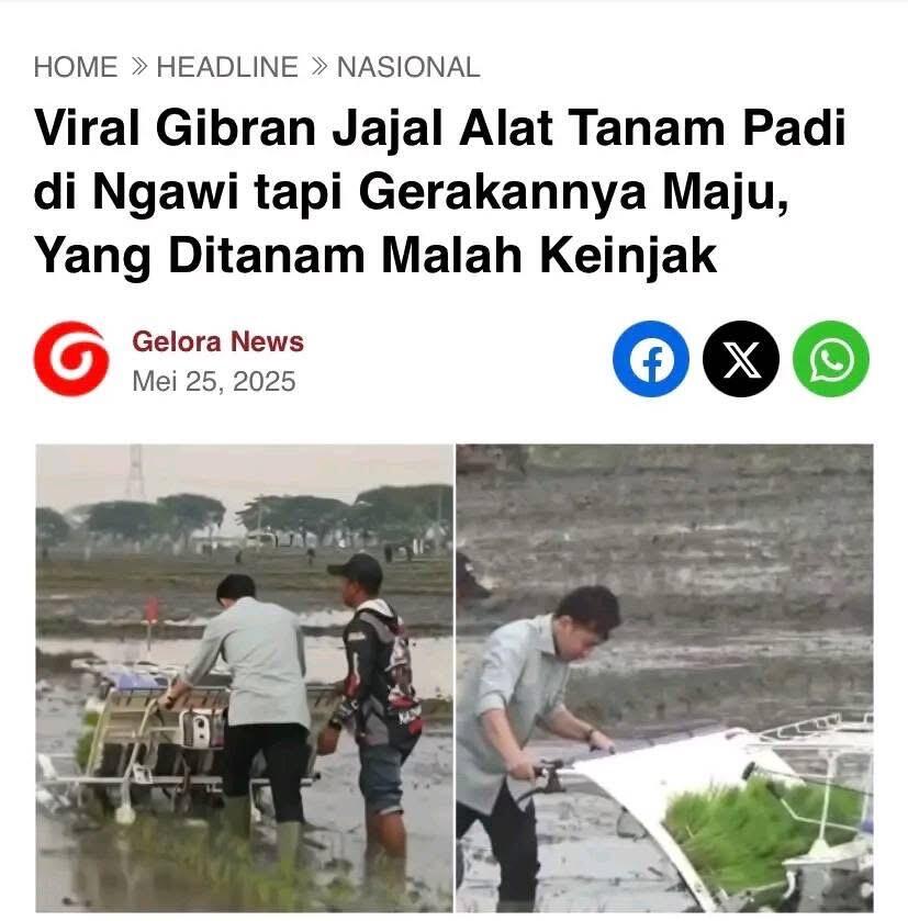Gibran Coba Alat Tanam Padi tapi Menanamnya Maju, Netizen: Yang Ditanam Malah Keinjak