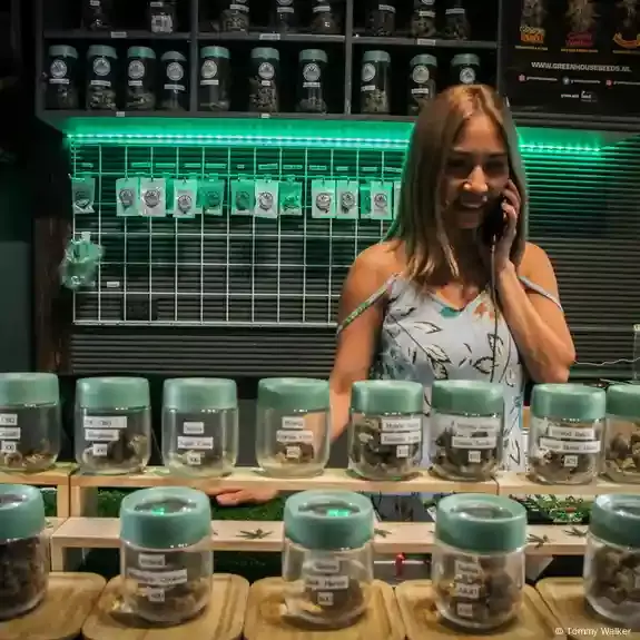 Setelah Dilegalkan, Thailand Akan Batasi Ganja?