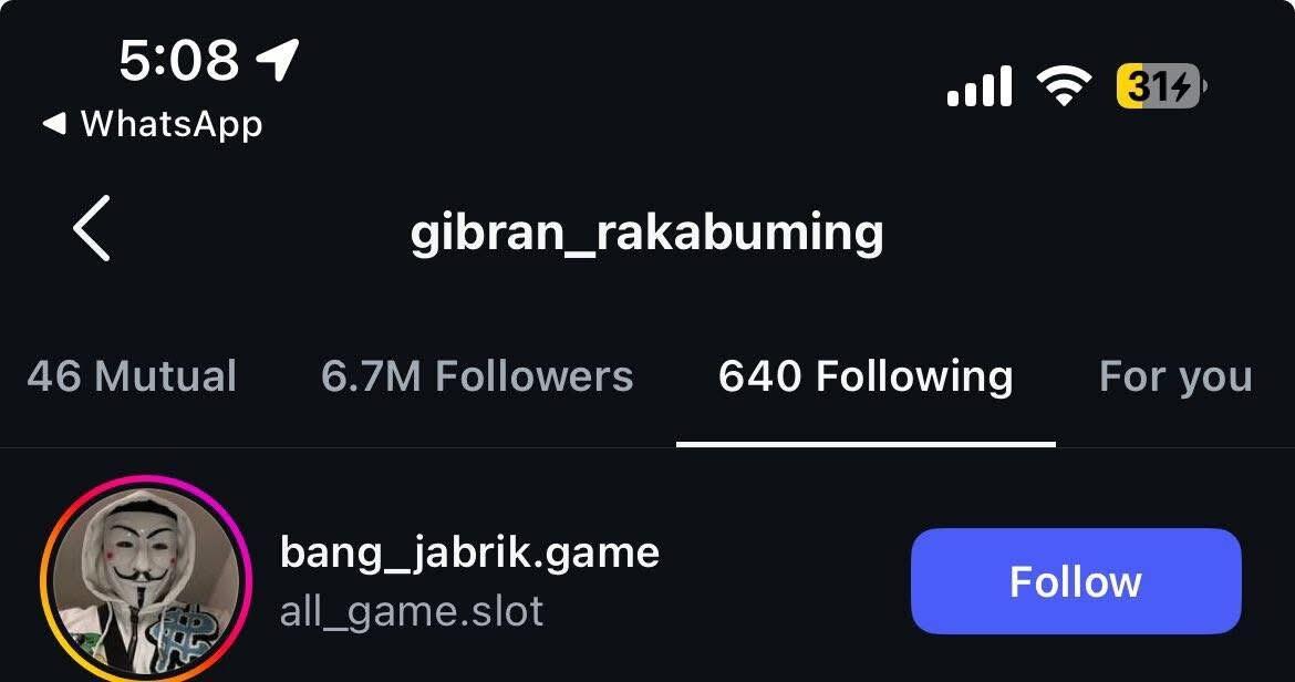 Gibran Disebut Follow Akun Judol, Begini Respons Istana Wapres