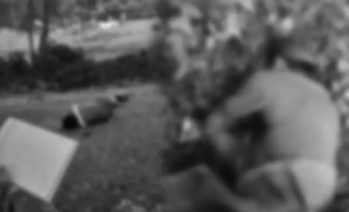 Lagi Bangun Gereja, 2 Pekerja Asal Jabar Tewas Ditembak KKB di Papua