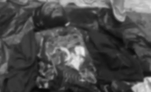 Lagi, Anggota OPM Puncak Tewas di Tangan Aparat Keamanan