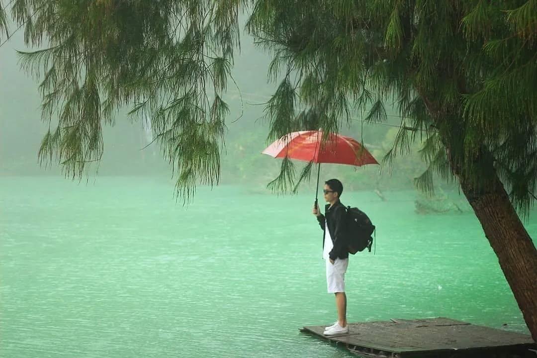 Terpesona di Atas Awan: 5 Tempat Wisata dengan View Terbaik di Dieng Wonosobo
